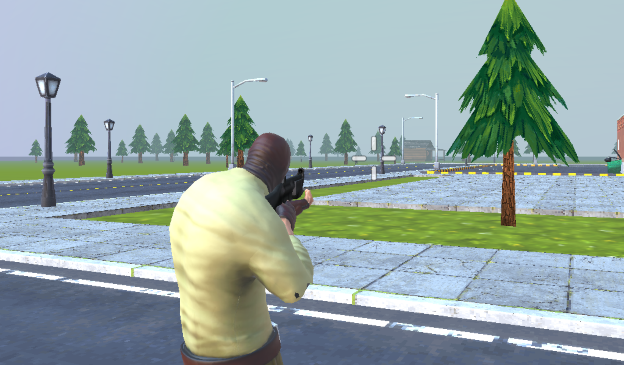 Action view from third-person perspective