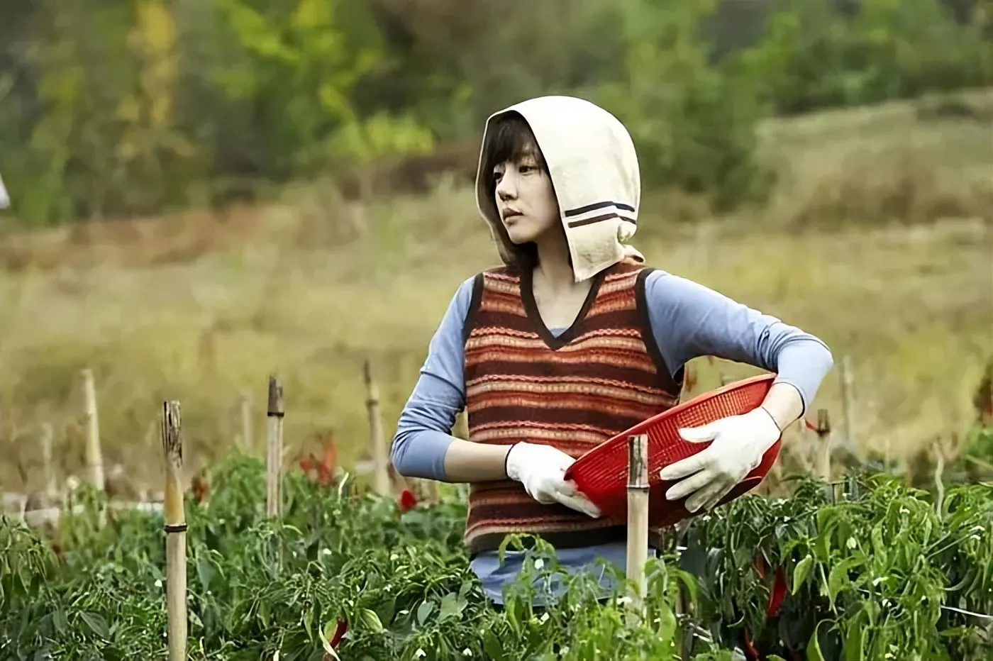 Happiness Still 5