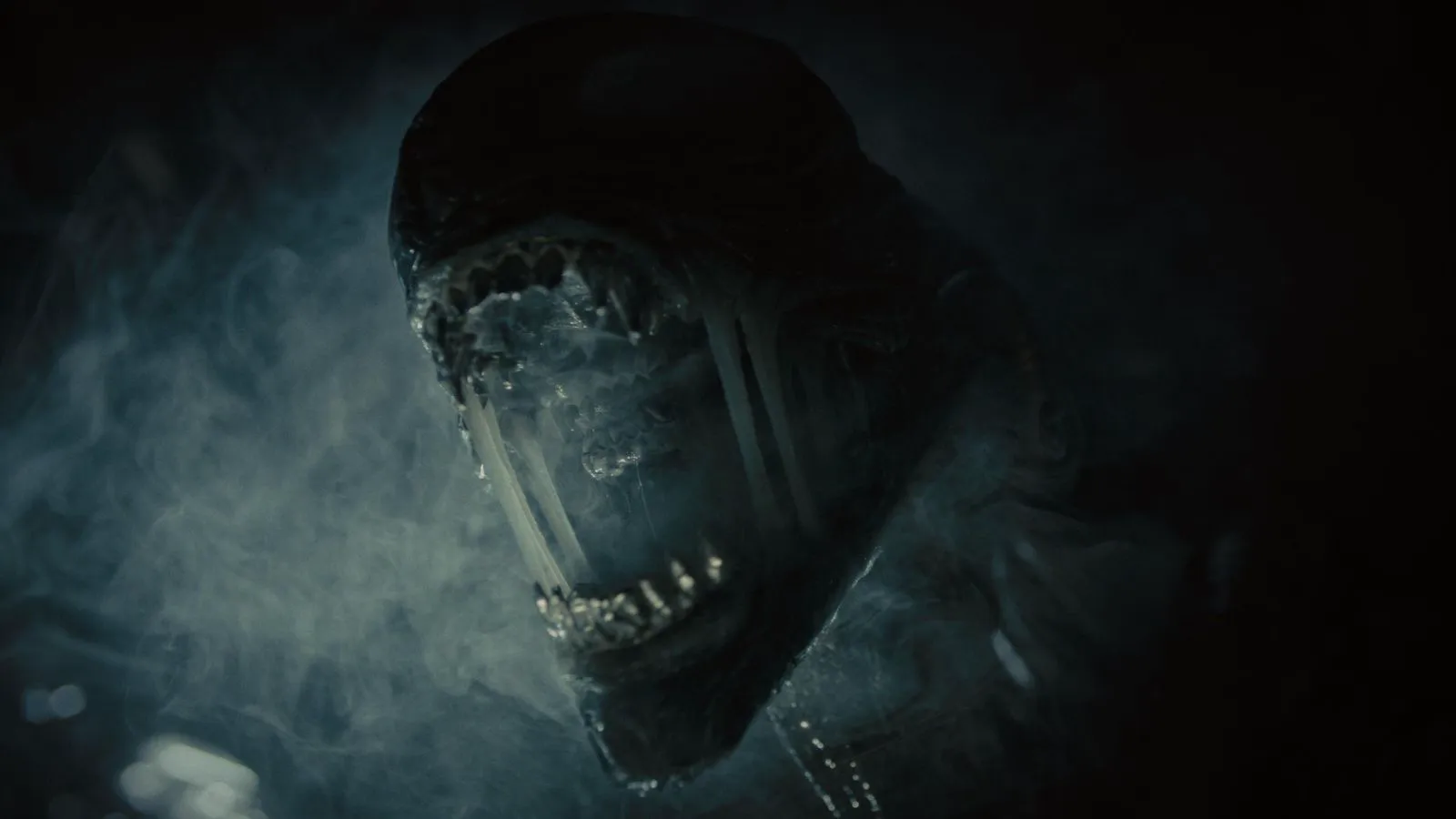 Xenomorph in 