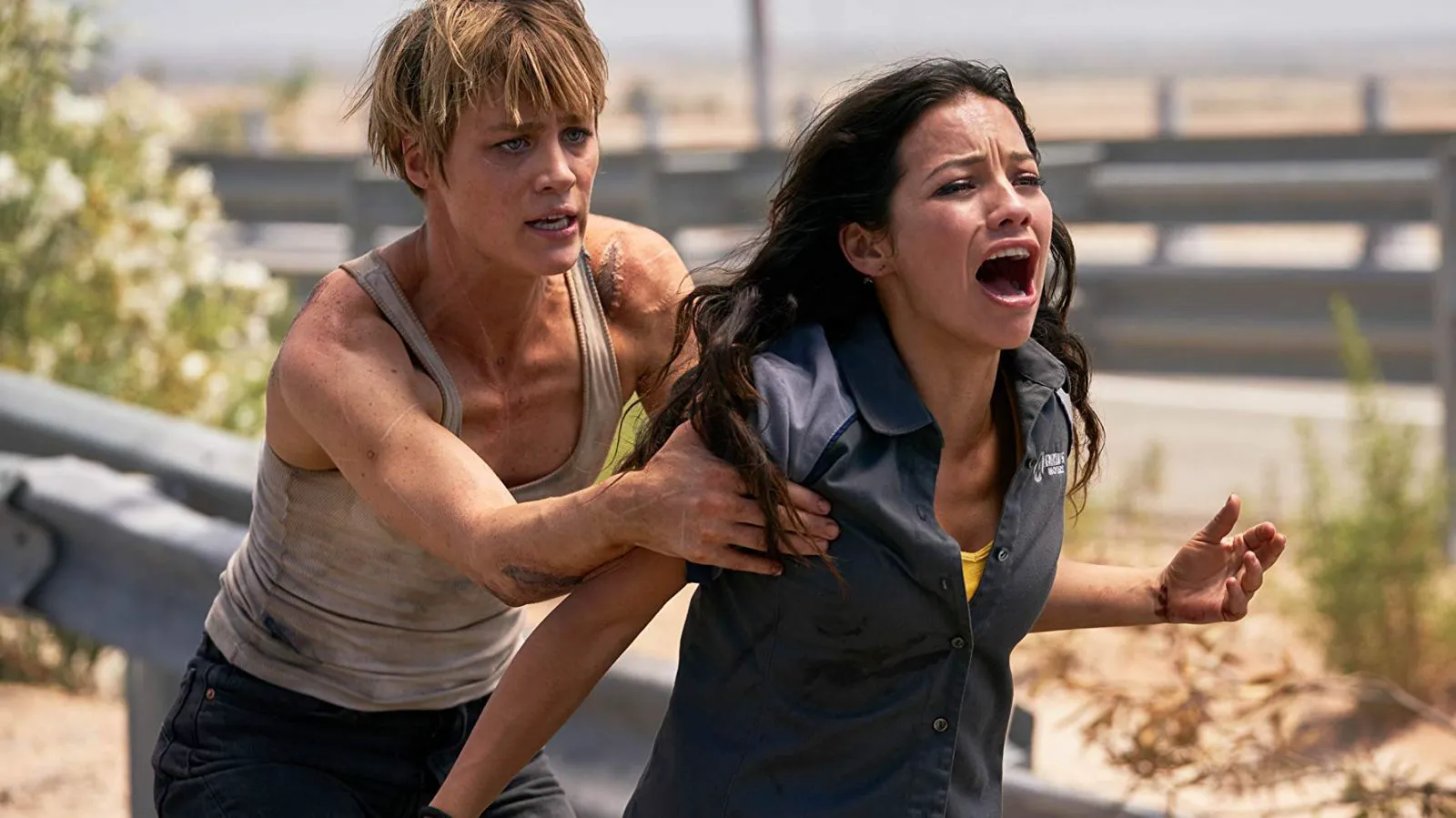 Scene from 