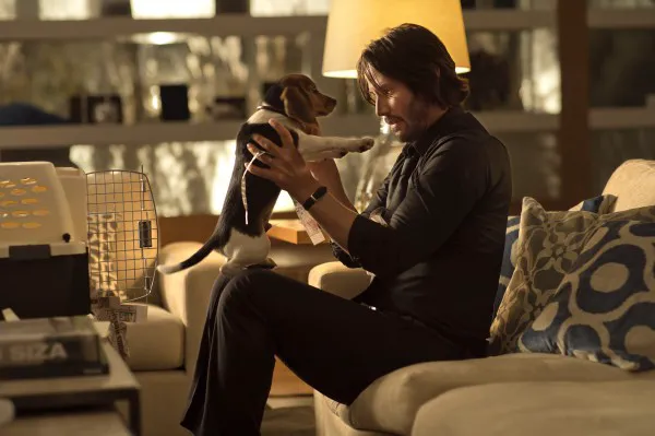 Review of the movie "John Wick"
