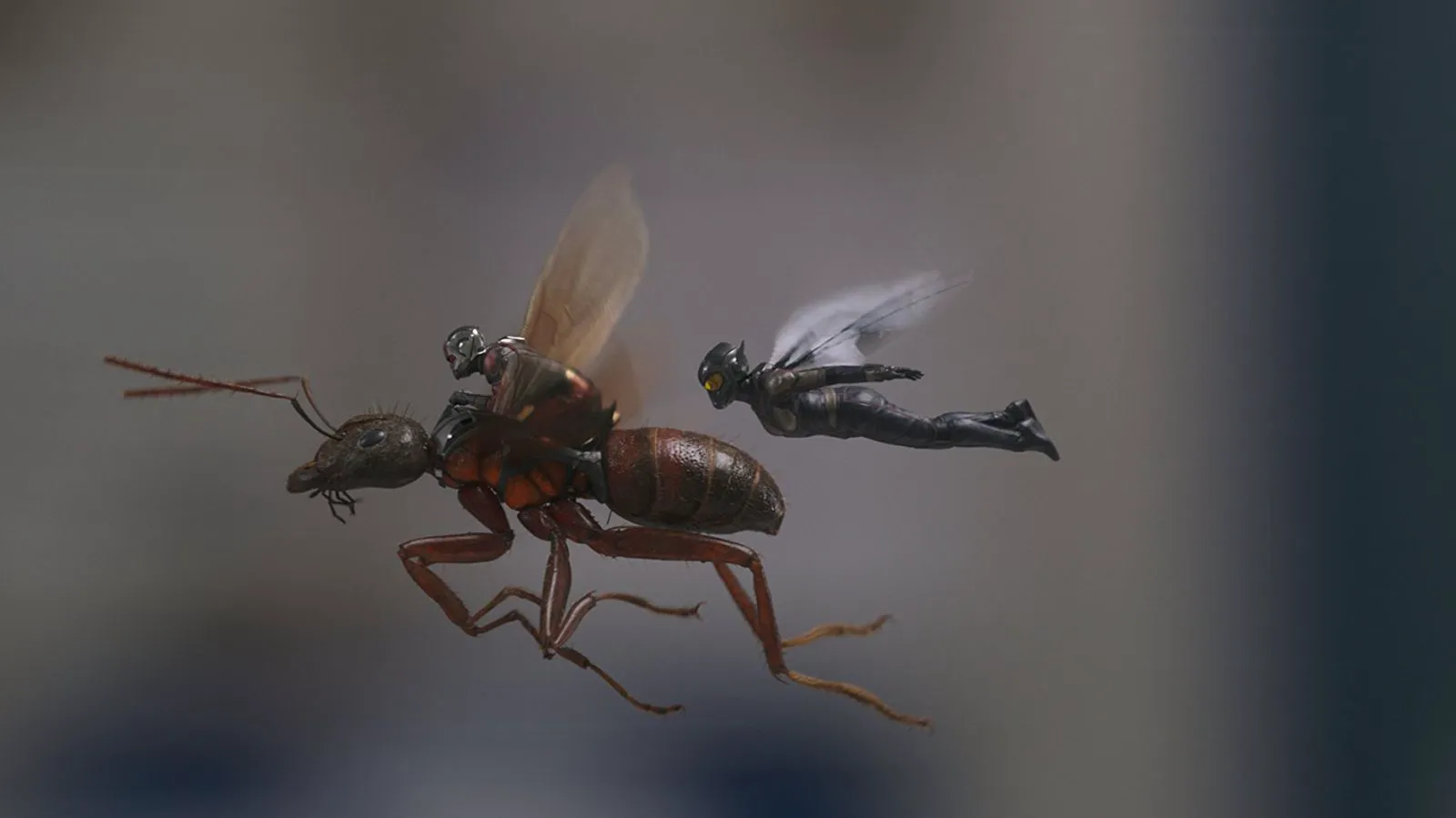 Still from 