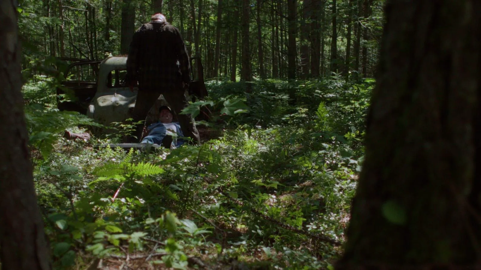 Scene from 