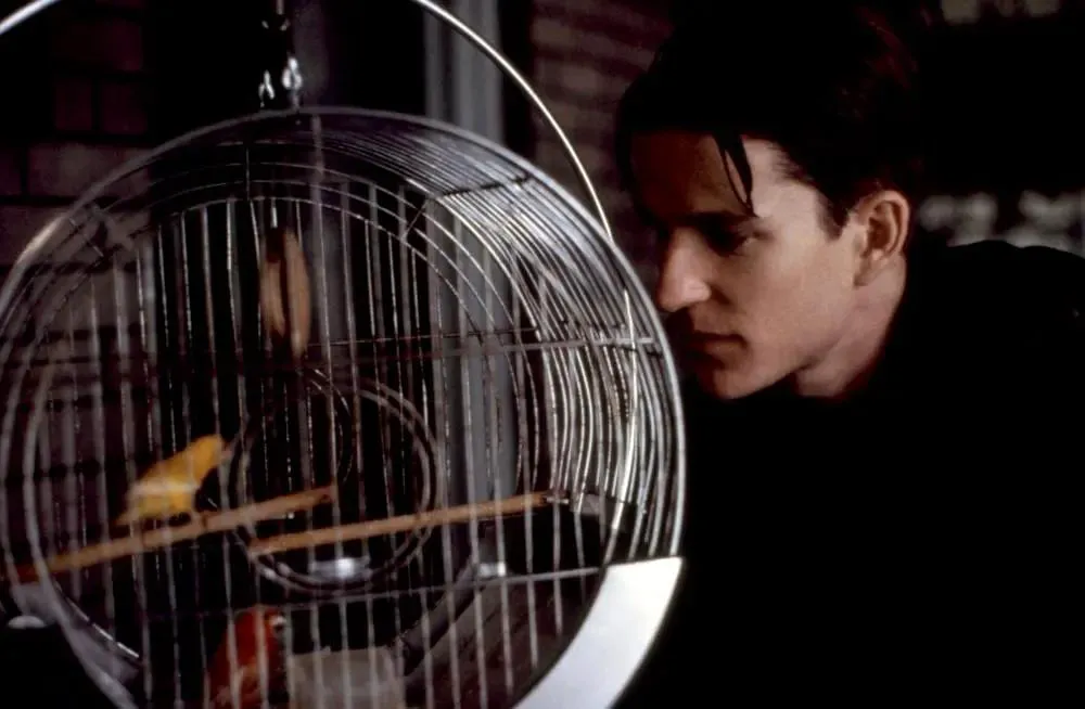 From the protagonist's journey of growth in "Birdman," what connotations and values does the film express?