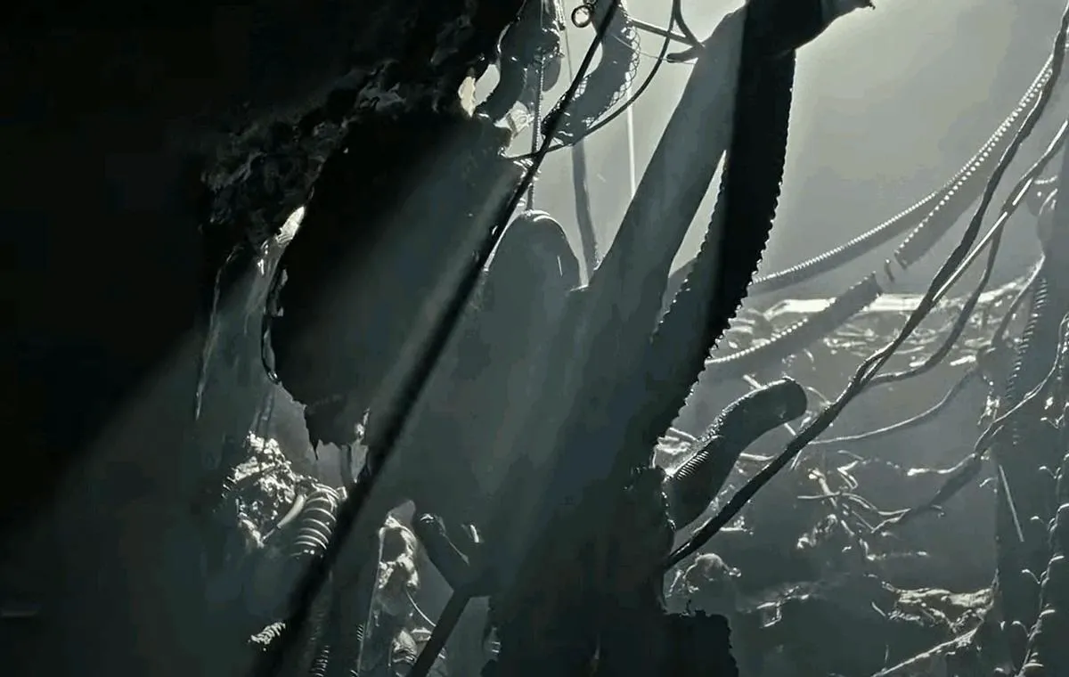 AVP on the Horizon?