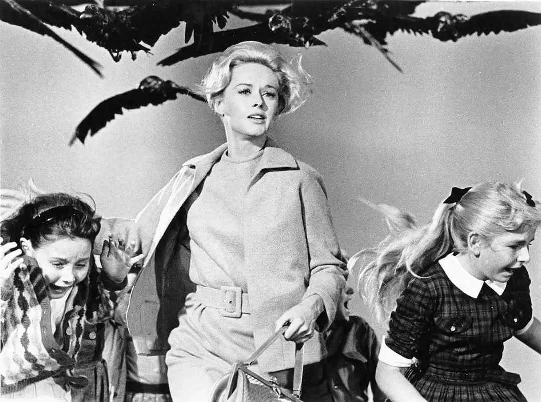 How does the portrayal of bird imagery in the film *The Birds* contribute to the expression of female anxieties?