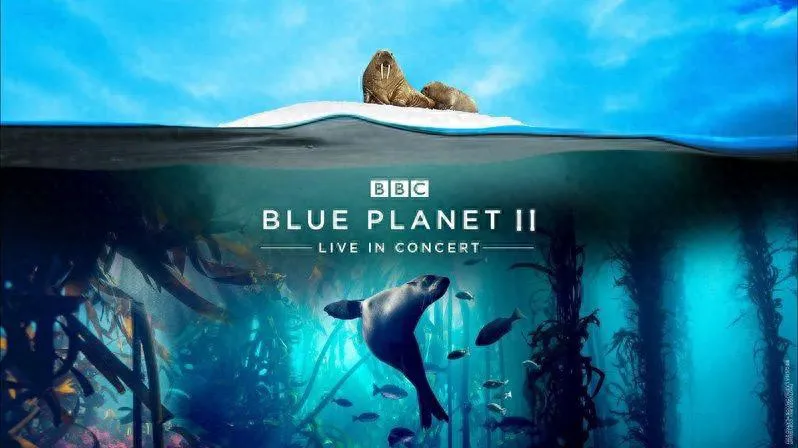 Blue Planet II: A Must-See Documentary