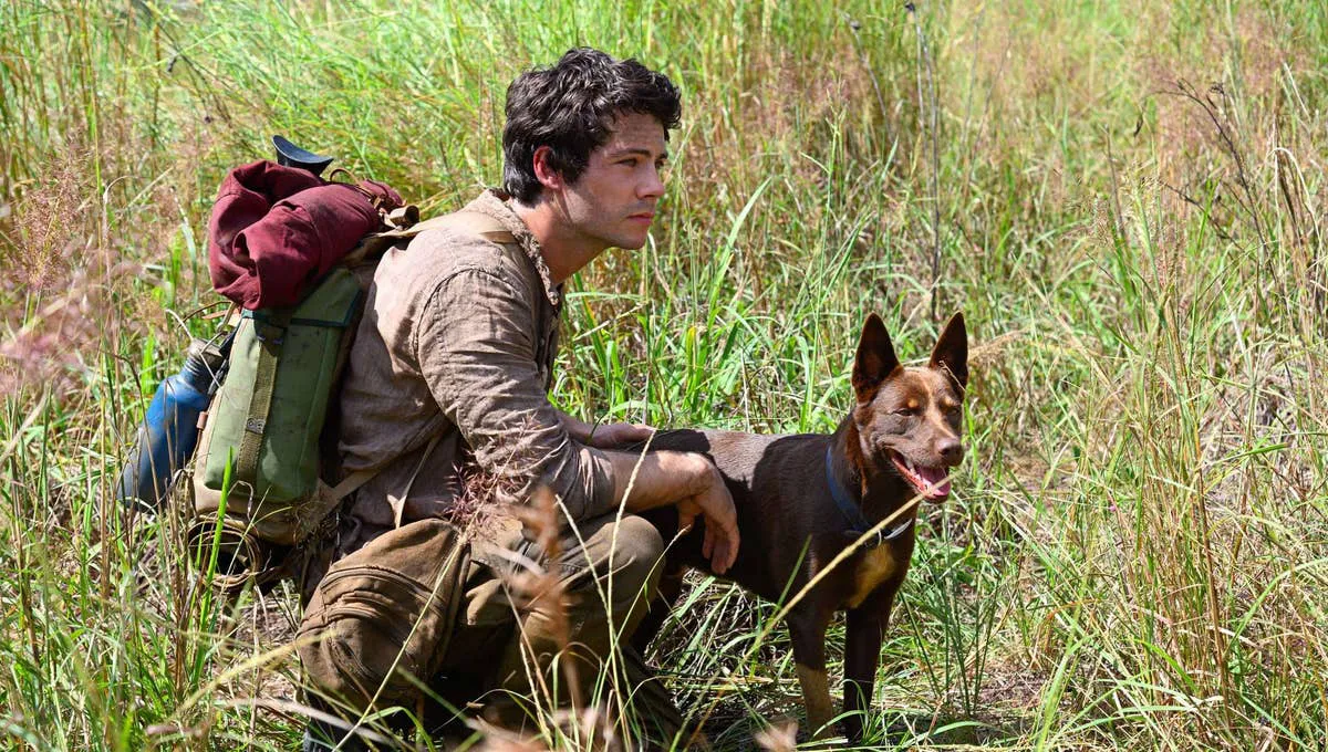 Dylan O'Brien as Joel in a still from 