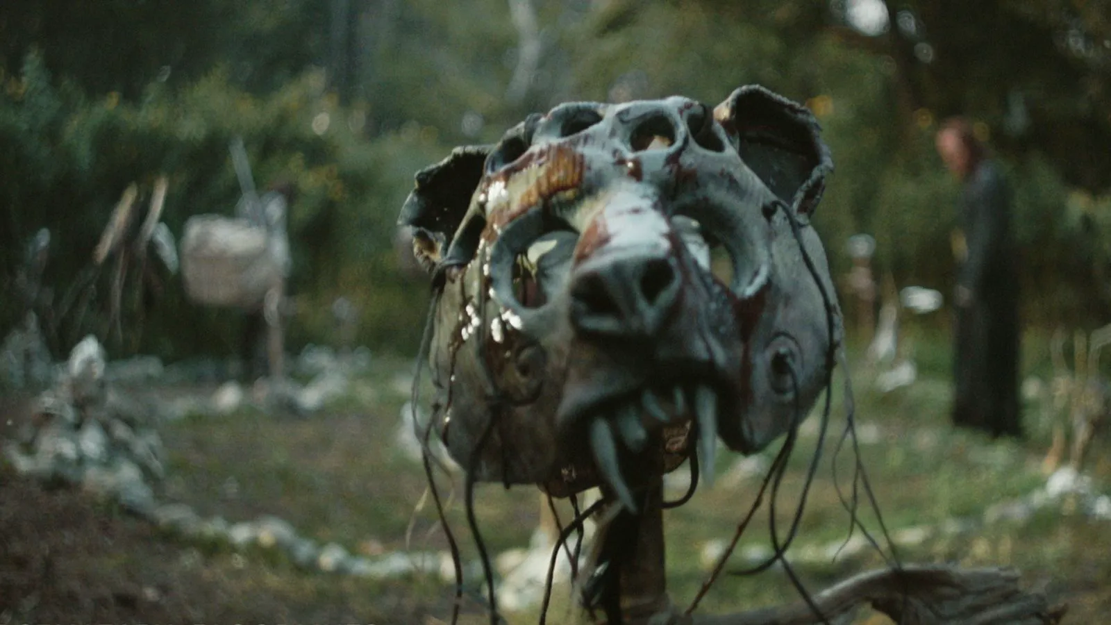 Scene from 