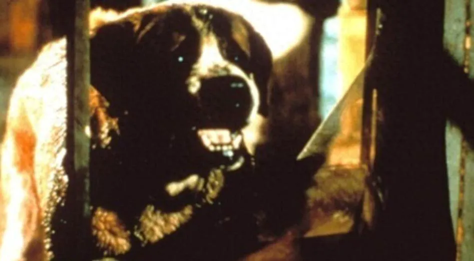 Netflix Reboots Stephen King's Thriller 'Cujo'