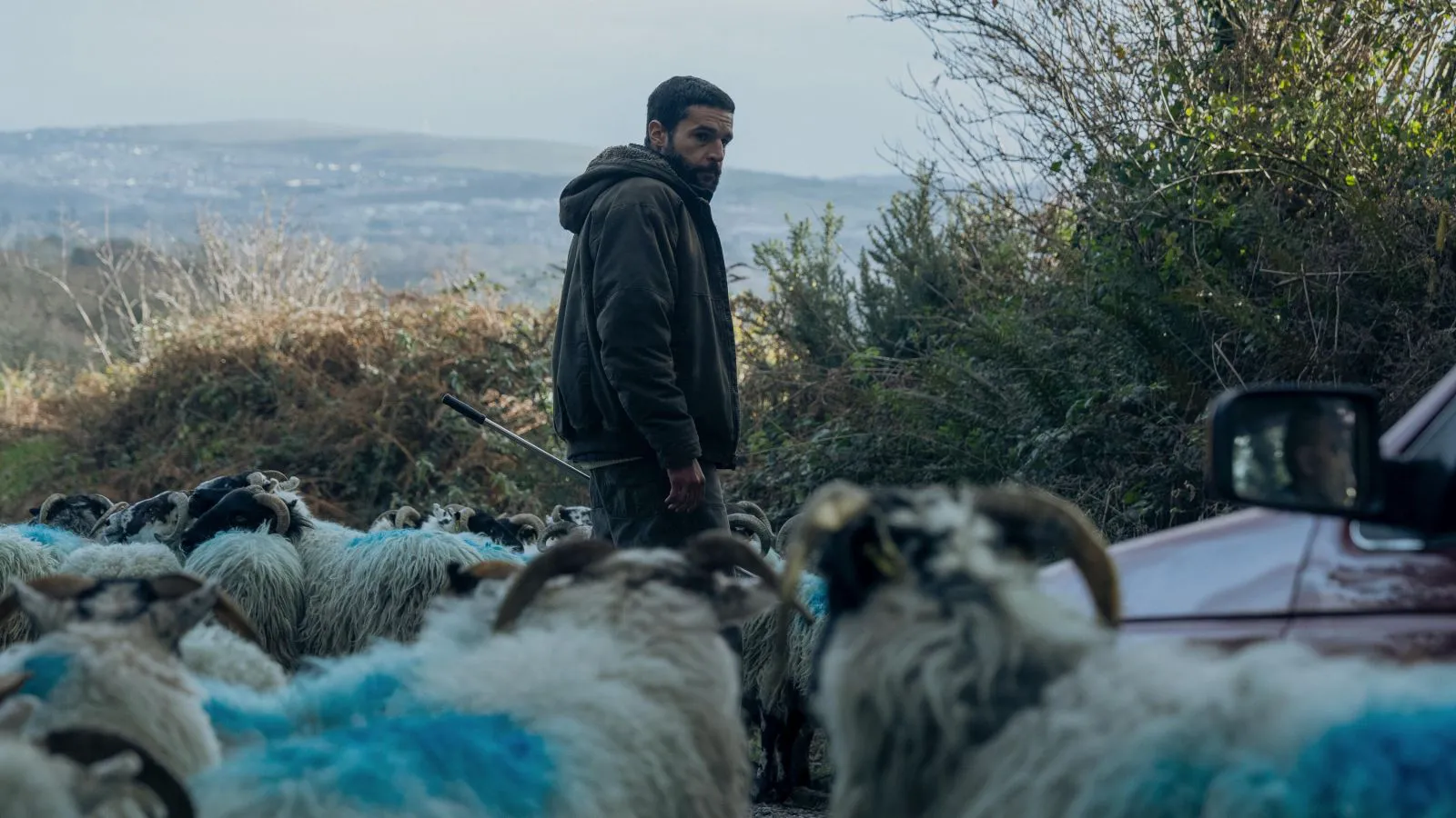 Mud and hatred in rural Ireland: a review of "Foe" starring Keoghan and Abbott