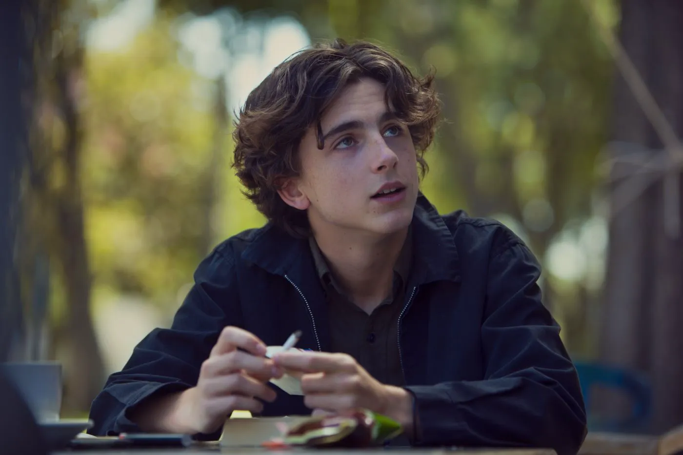Lady Bird Movie Still
