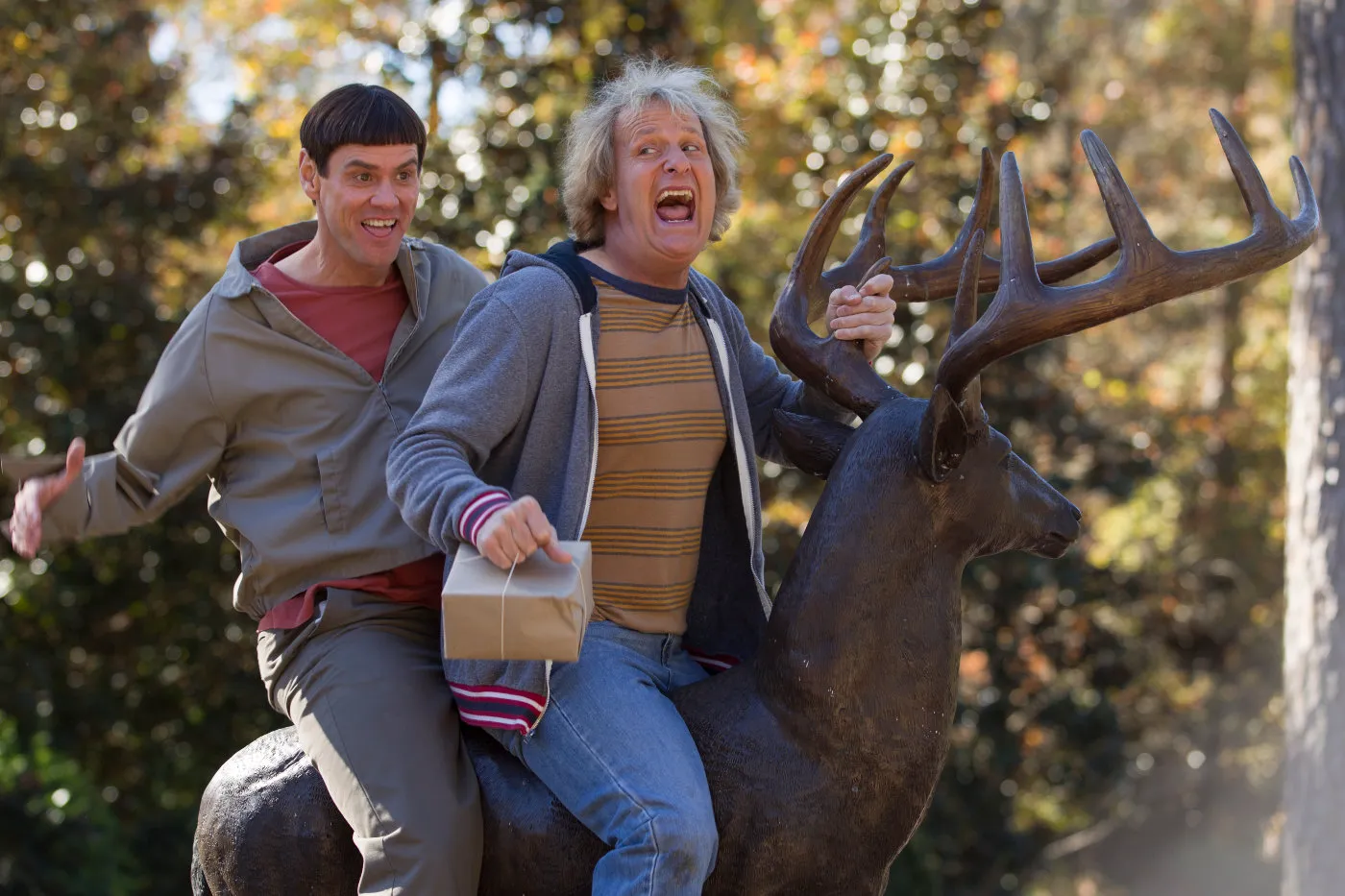 Review of the movie "Dumb and Dumber To"