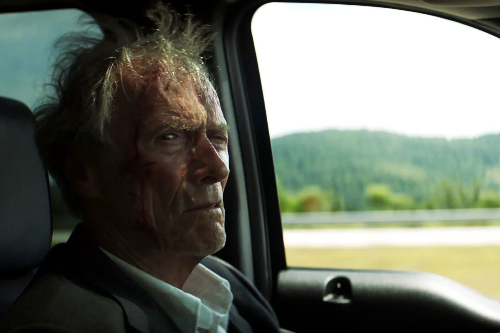 "The Mule": I'm a little horse