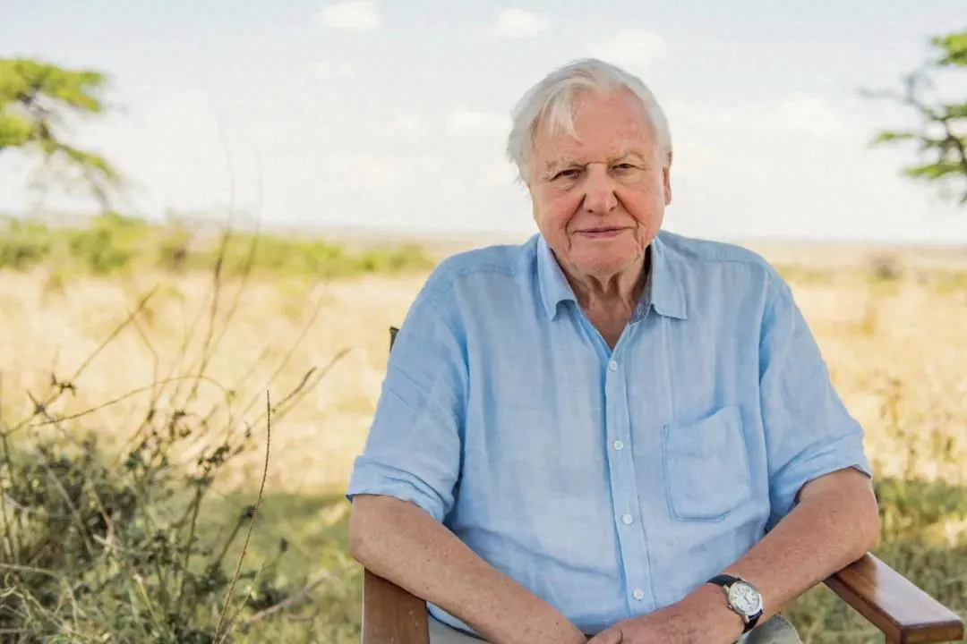 9.4-Scoring Documentary Explodes! 94-Year-Old Reveals the Truth About Earth's Survival