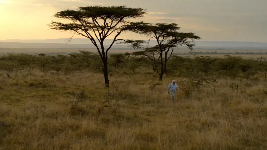Attenborough in Serengeti