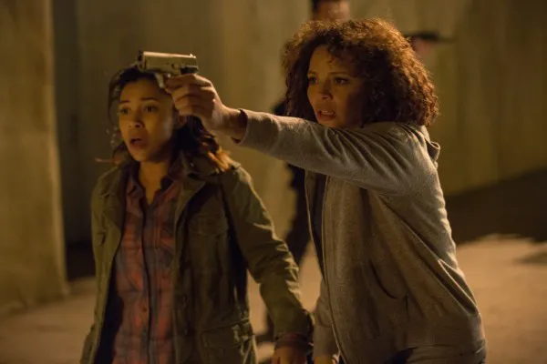 Review of the movie "The Purge: Anarchy"