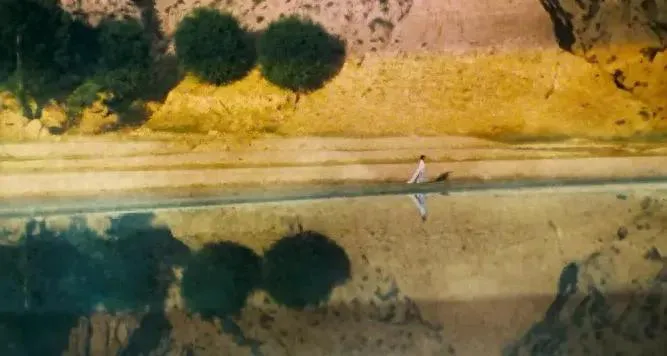He reached the highest level of Chinese-language martial arts films almost by accident.
