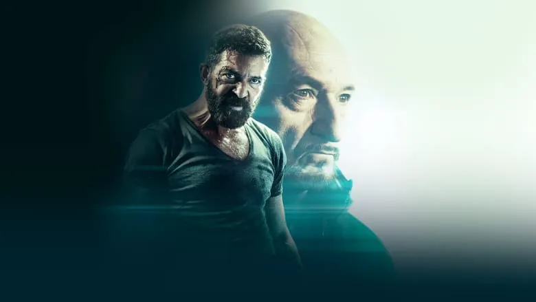 Review of the film "The Guard"