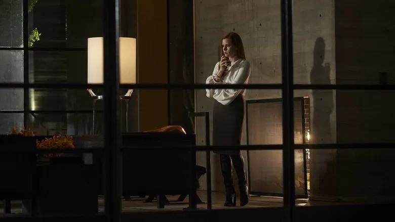 Amy Adams in Nocturnal Animals