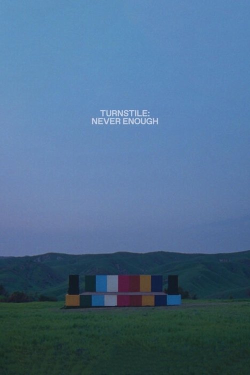 TURNSTILE: MAI ABBASTANZA