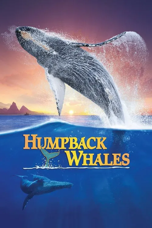 Baleines à bosse