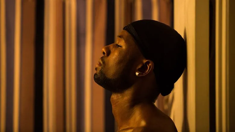Review of the film "Moonlight"