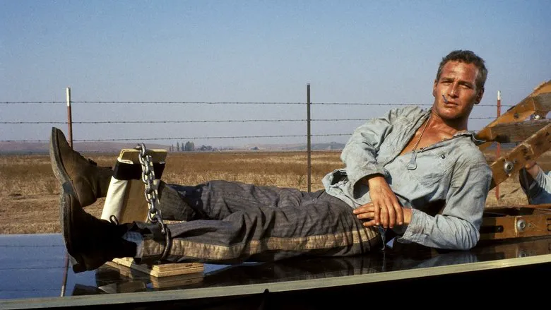 Cool Hand Luke