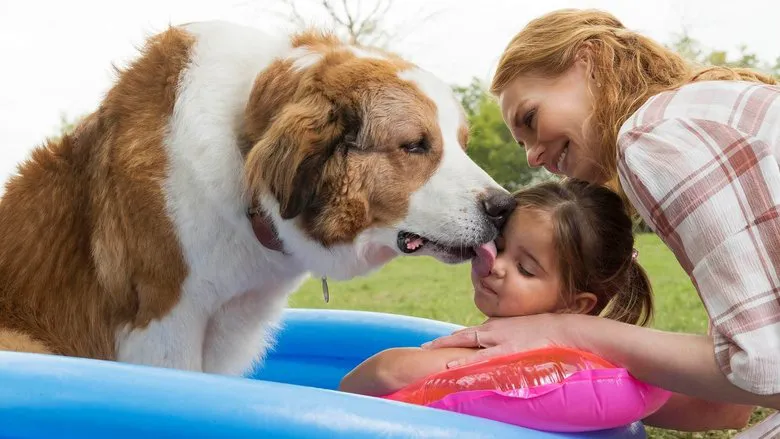 Afternoon Tea Film Review: "A Dog's Purpose"