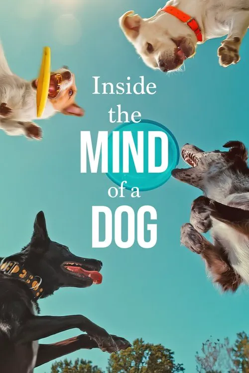 Menjelajahi Pikiran Seekor Anjing