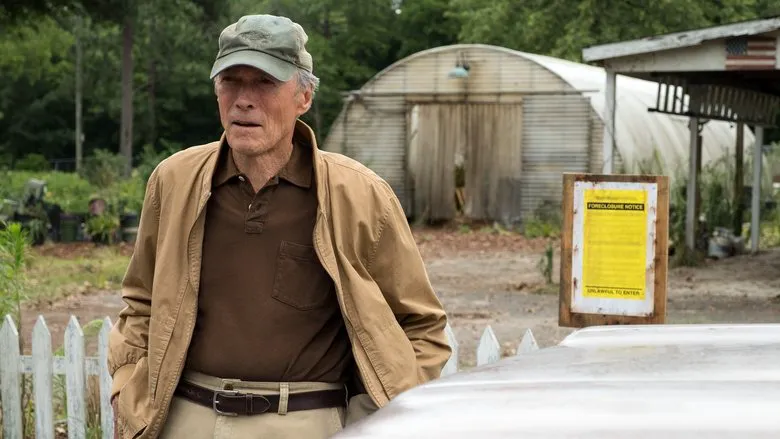 Movie Recommendation 2 | "The Mule": Family Needs Our Companionship