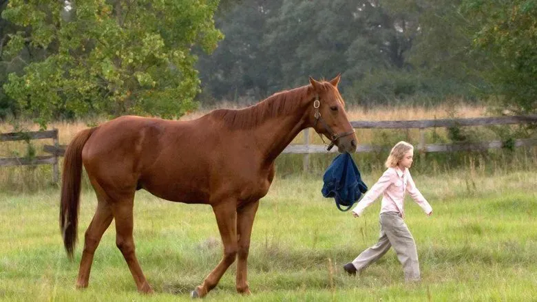 Spirit
