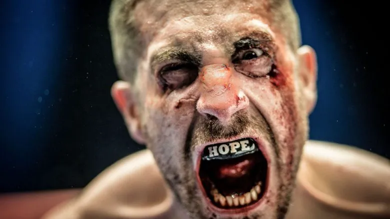 Gyllenhaal transforms for the role