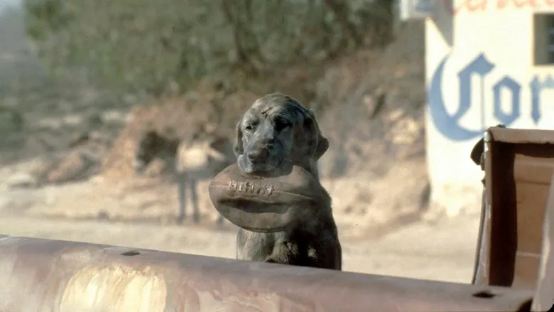 Unpacking the Ensemble: A Character Analysis in Gore Verbinski's "The Mexican"