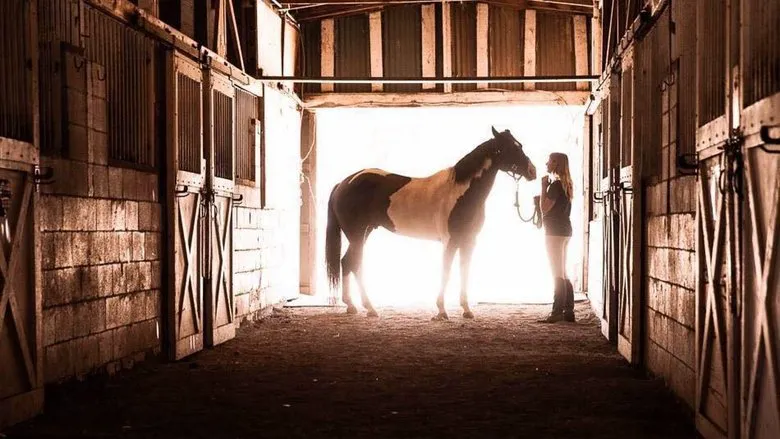 Behind the Reins: The Making of "A Champion Heart"