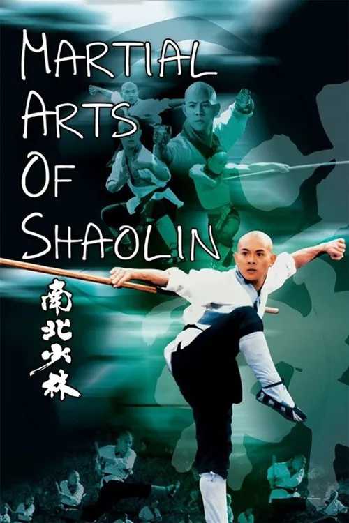少林寺武王