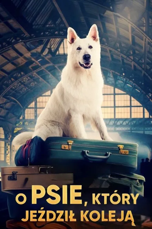 Lampo, el Perro Viajero