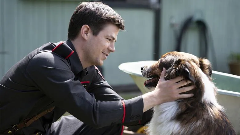 Professor Wilson playing with Hachi at the train station