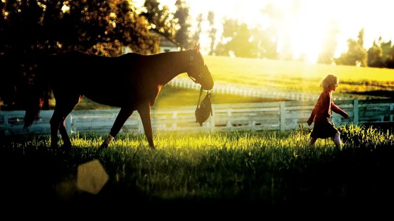 10 Must-See Movies About Horses