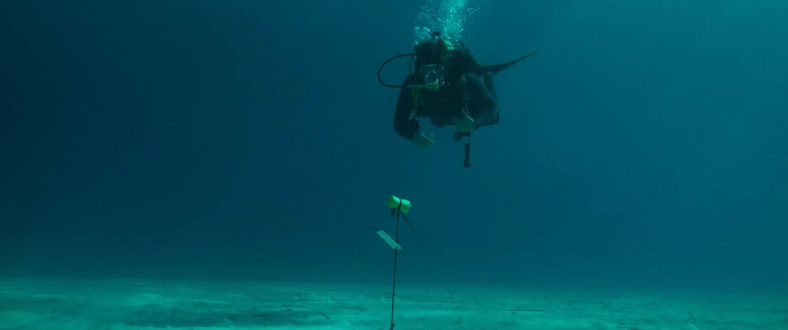Sharks on a Sunken Ship: A Review of the Deep-Sea Thriller "No Way Up"
