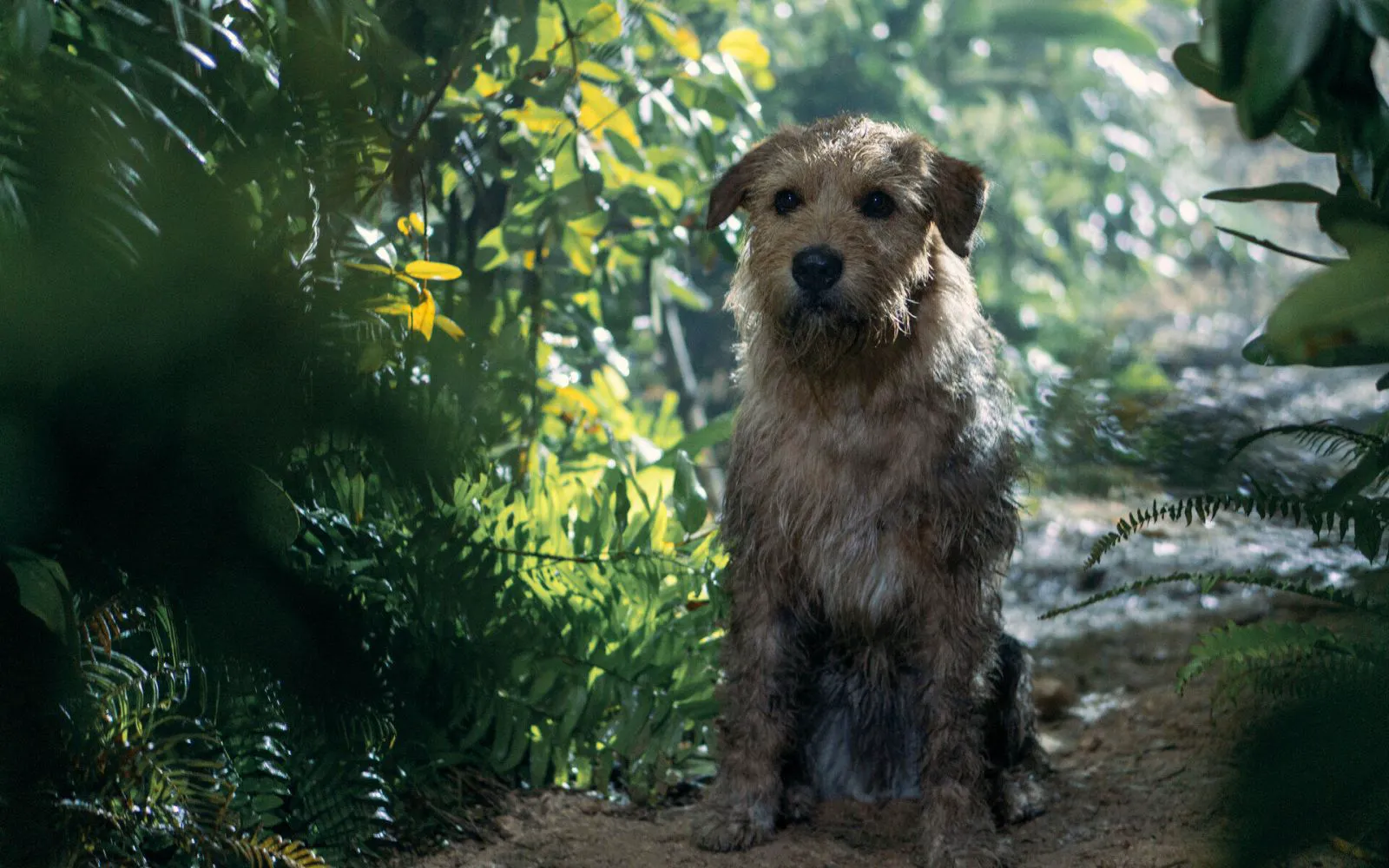 Ukai as Arthur in 
