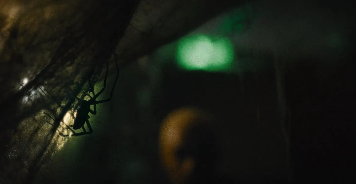 Still from 